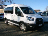 Ford Transit 350 L2 Trend Rampe Kamera Behindertengerecht