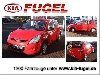 Hyundai i20 Fifa WM